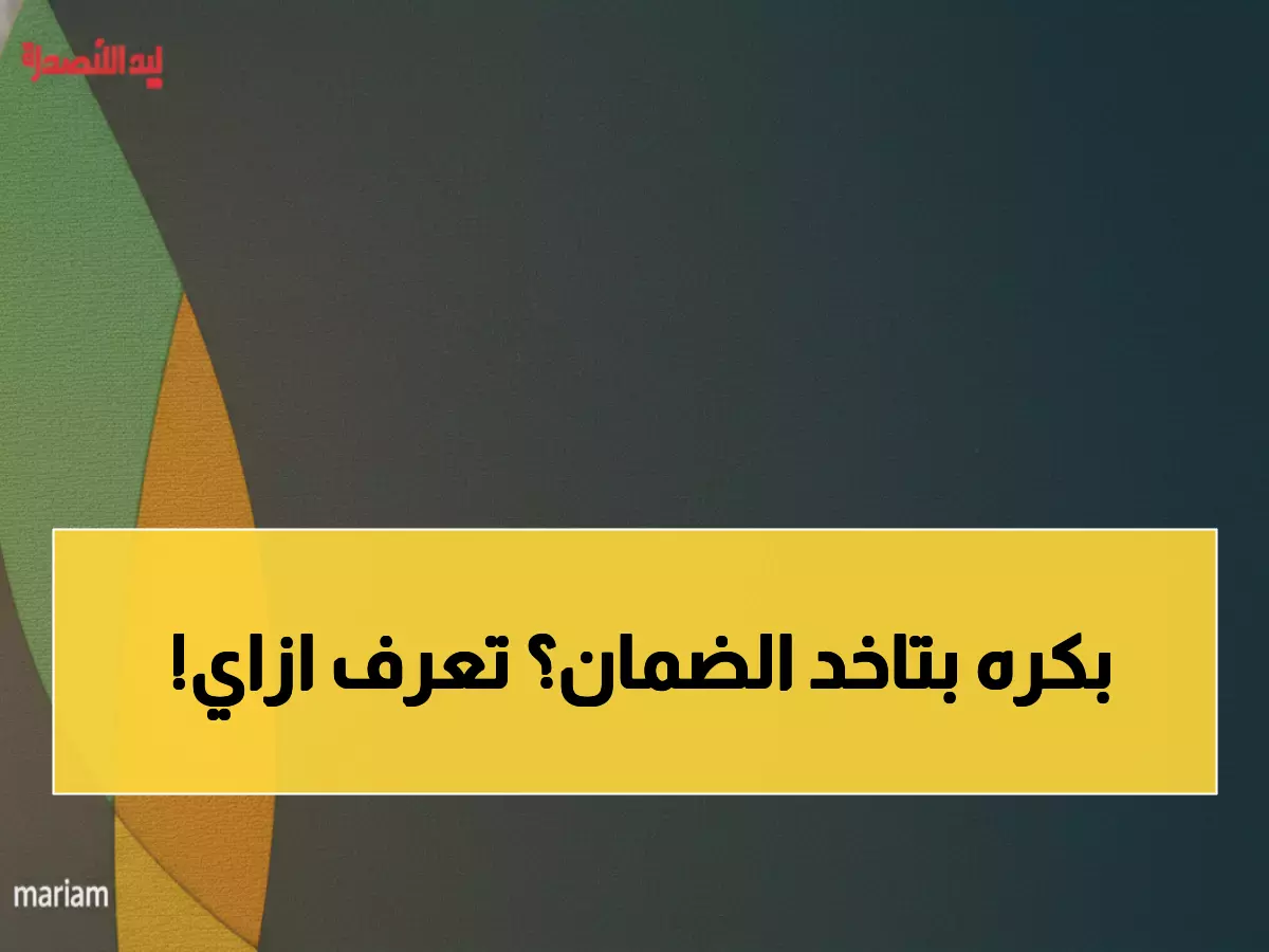عاجل: نتائج الضمان ديسمبر 2025 تظهر 27 نوفمبر - تحقق من أهليتك فوراً!