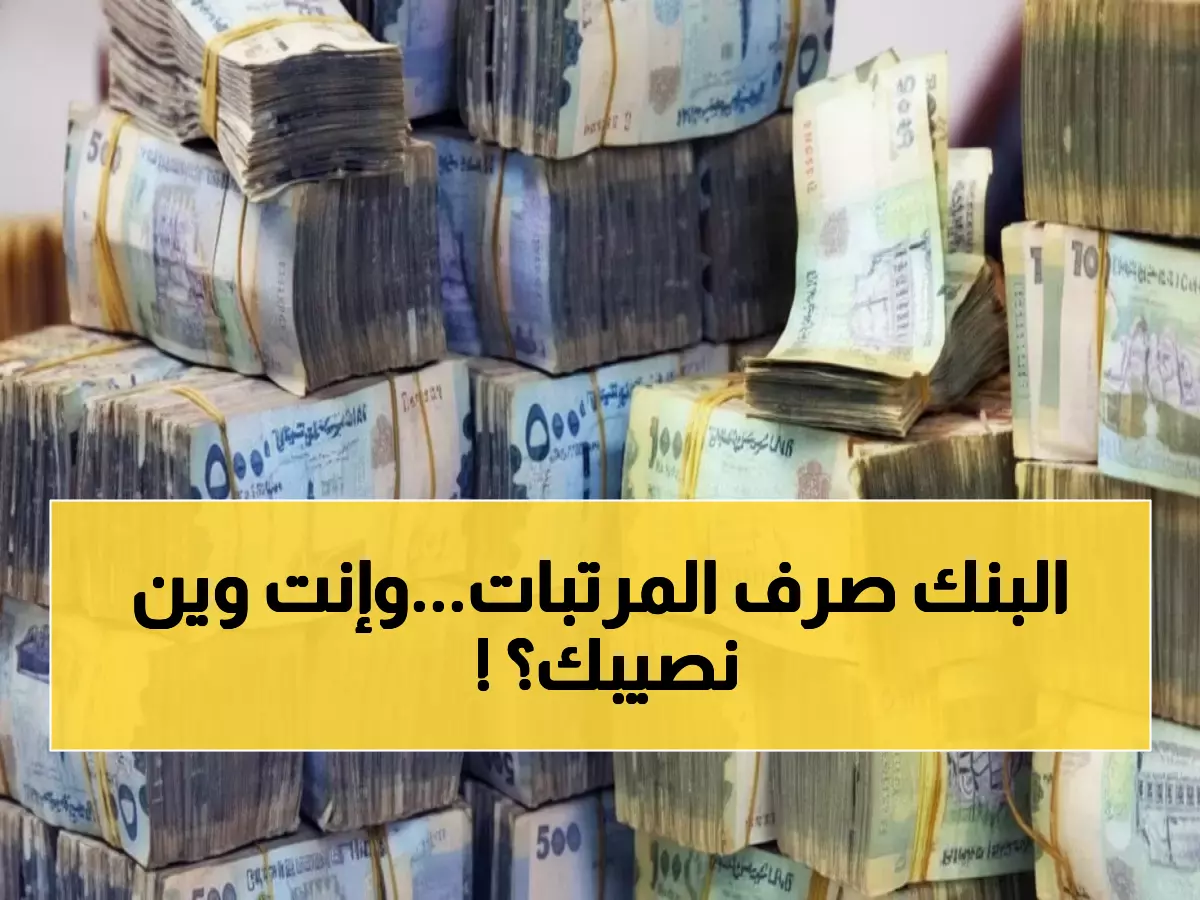 تأكيد رسمي: بنك عدن يبدأ صرف مرتبات نوفمبر لـ1000+ موظف... هل وصلت مرتبتك؟