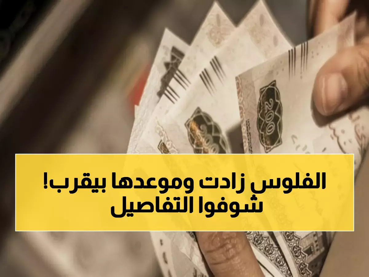عاجل: وزارة المالية تعلن مواعيد صرف مرتبات نوفمبر وديسمبر 2025 - زيادات تصل لـ15%!