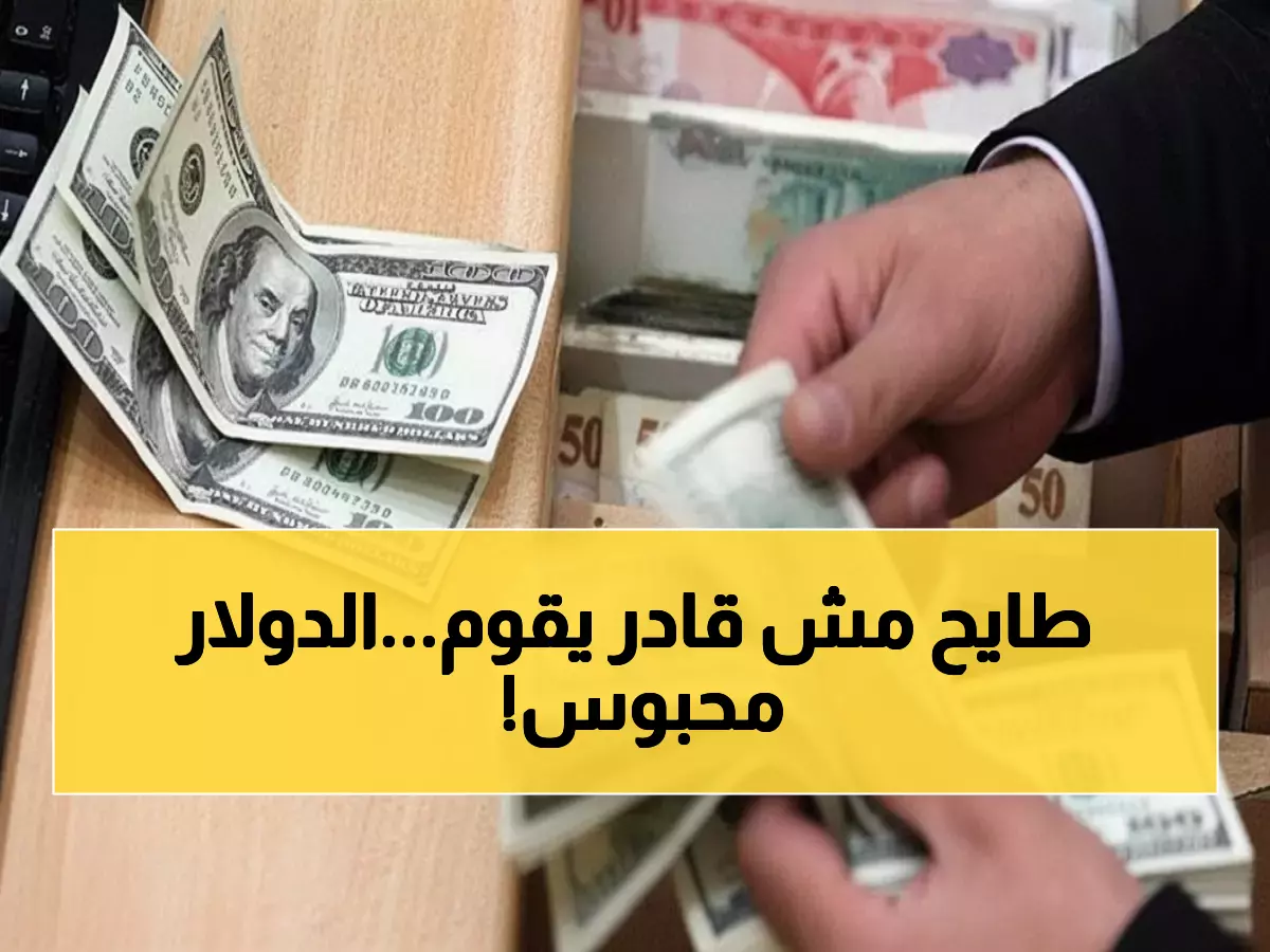 عاجل: الدولار يتجمد عند 47.69 جنيه... هل هي الفرصة الذهبية للشراء قبل ارتفاعه؟