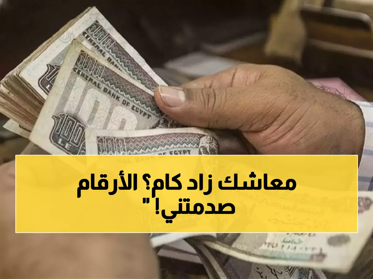عاجل: احسب زيادة معاشك فوراً... 224 لـ2175 جنيه! هيئة التأمينات تكشف التفاصيل الكاملة