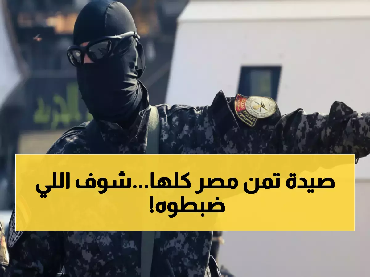 عاجل: 221 كيلو مخدرات و59 سلاحاً... شبكة إجرامية خطيرة بقيمة 38 مليون جنيه تسقط في كمين محكم!