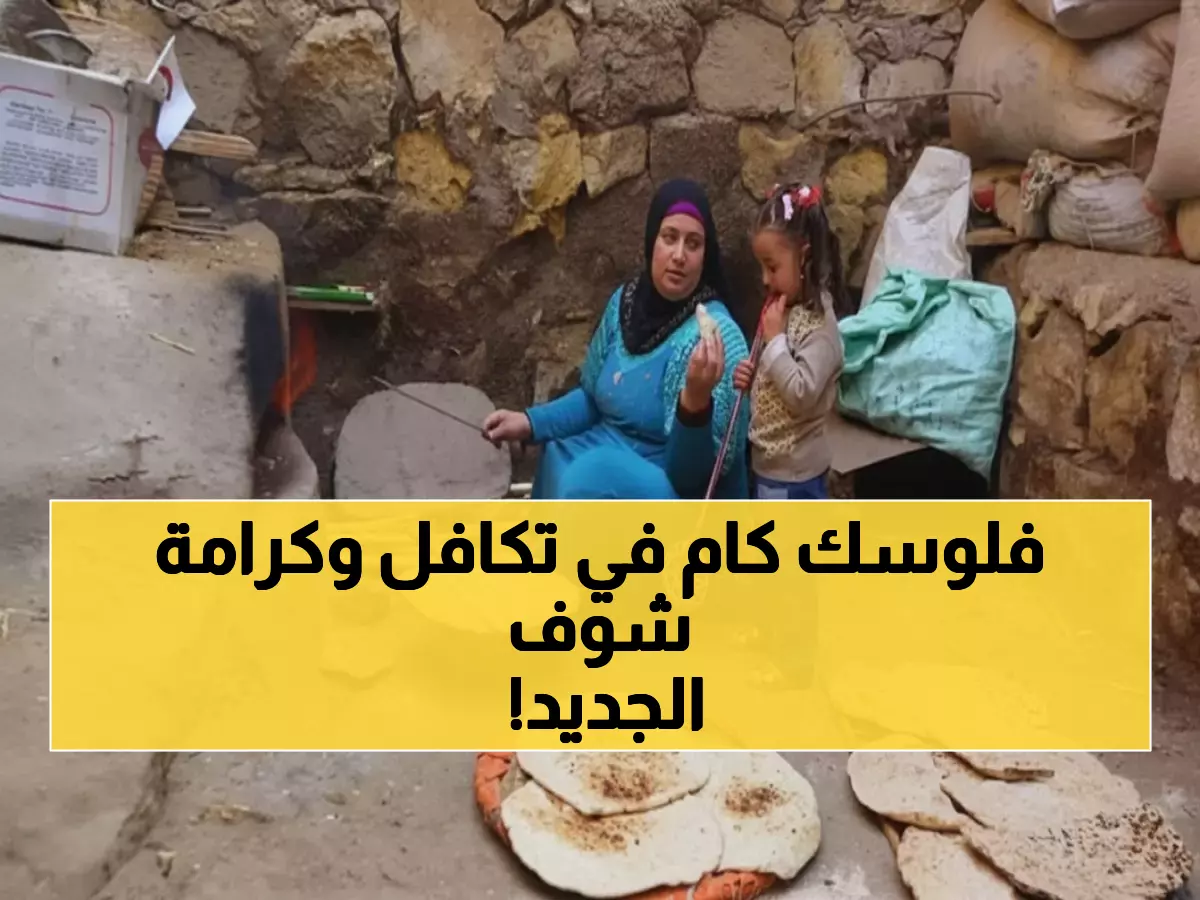 عاجل: تكافل وكرامة 2025 يفتح باب الاستعلام - اكتشف استحقاقك خلال ثواني بالرقم القومي!