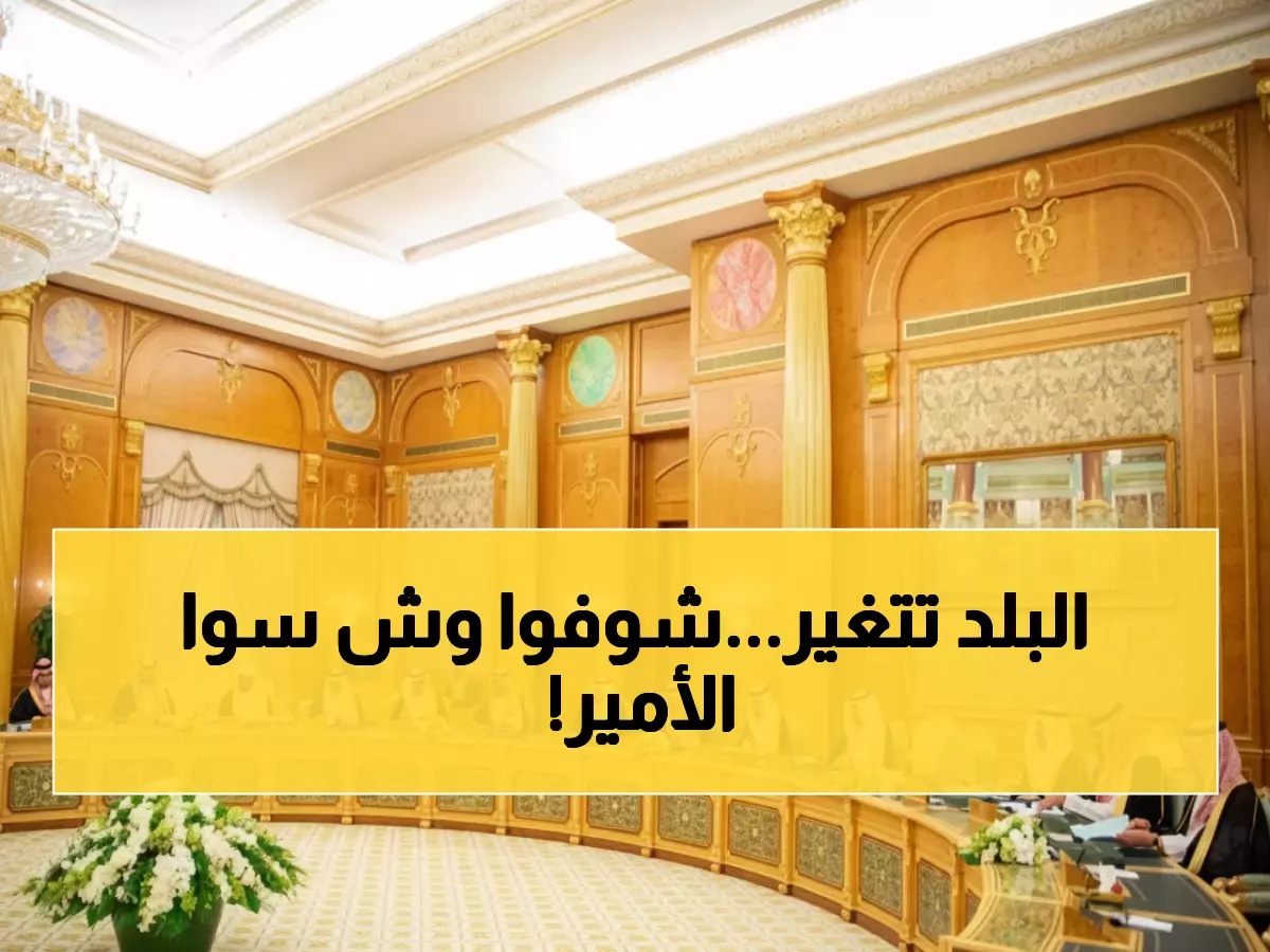 عاجل: الأمير عبدالعزيز يعلن نقلة تاريخية... نظام الرياضة الجديد يغير خريطة الاستثمار نهائياً