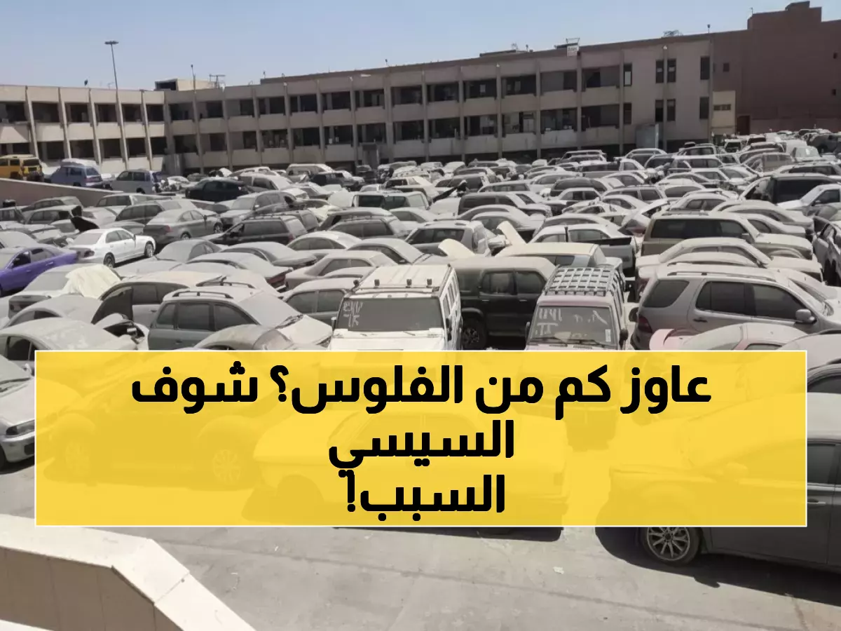 عاجل: الحكومة تبيع 142 لوط بـ15.2 مليون جنيه… والسبب صادم - تكليف رئاسي خاص!