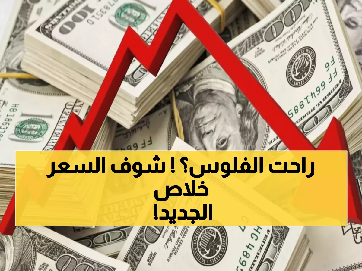 عاجل: صدمة أسعار الصرف اليوم - الدولار يقفز لـ535 ريال يمني في عدن وصنعاء!