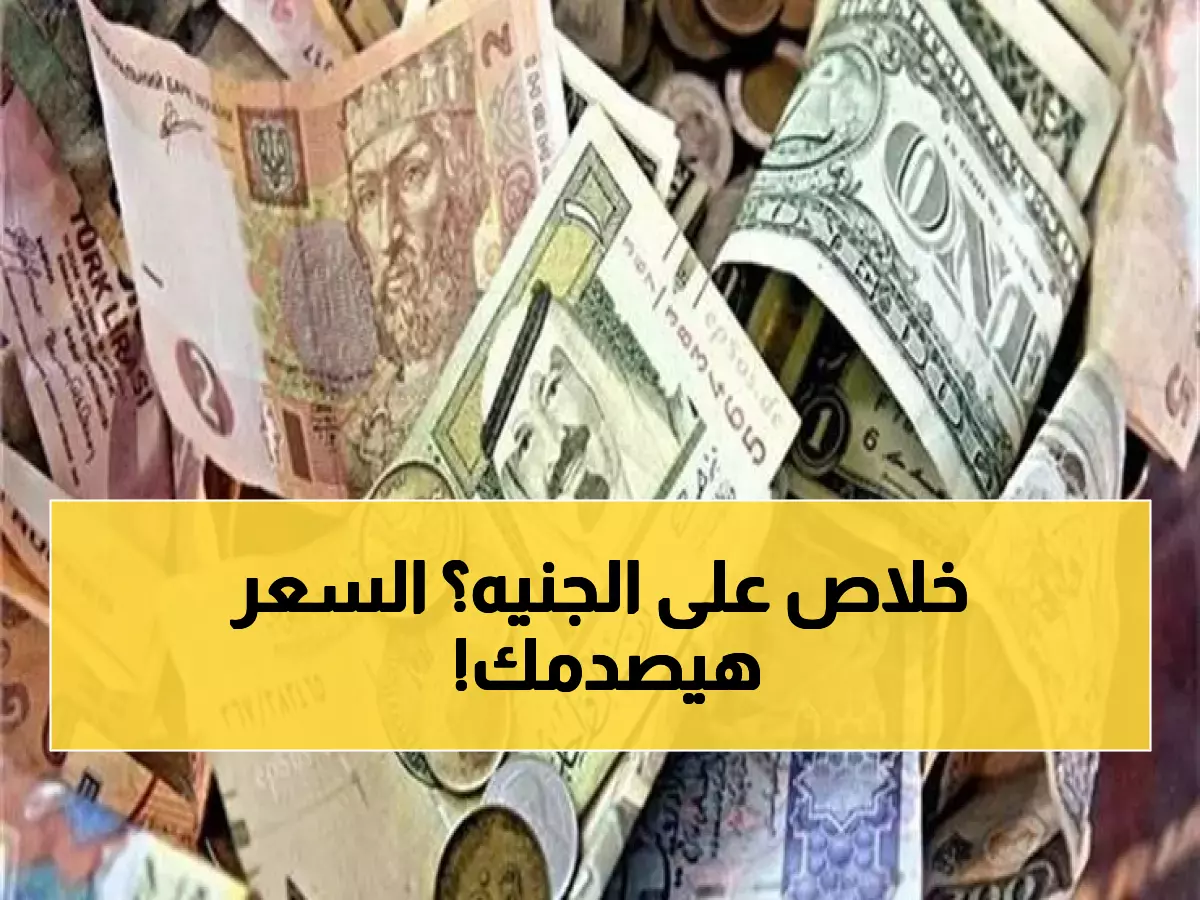 الريال السعودي والدولار الأمريكي يرتفعان بشكل جنوني إمام الجنيه في صدمة أرعبت المصريين.. تعرفوا على السعر الذي وصل له !