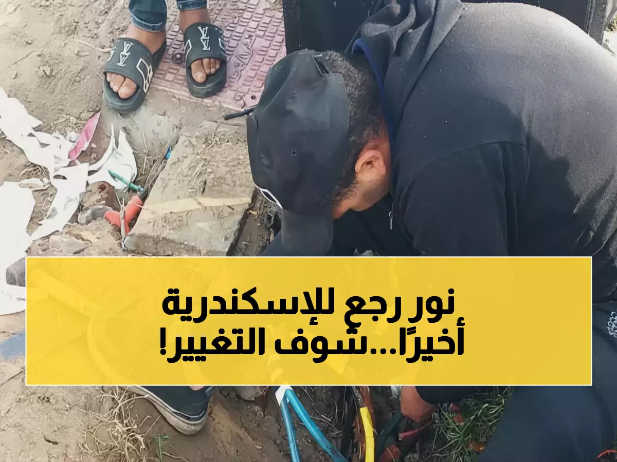 عاجل: الإسكندرية تضيء من جديد… 7 أعمدة إنارة تحول الشوارع المظلمة إلى واحات نور!