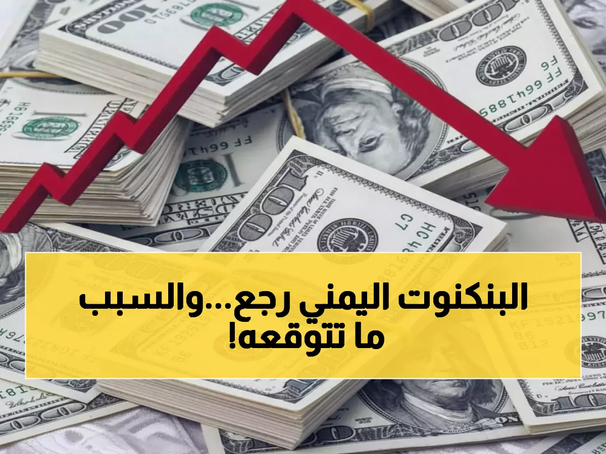 صادم: كيف انتعش الريال اليمني من كارثة 1000 إلى استقرار 535؟ الخبراء يكشفون السر!