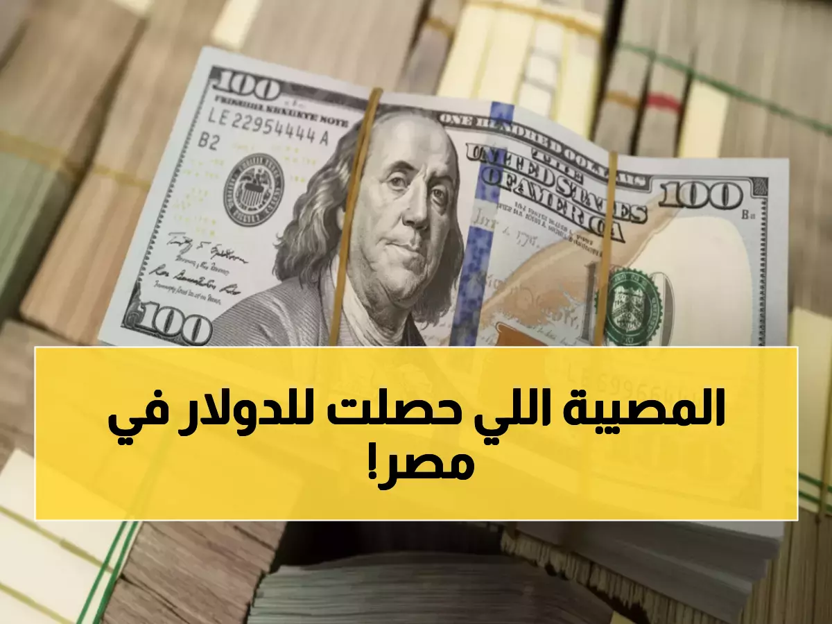 عاجل: الدولار ينهار 13 قرشاً في ساعات قليلة - المصريون يحتفلون والمدخرون في صدمة!