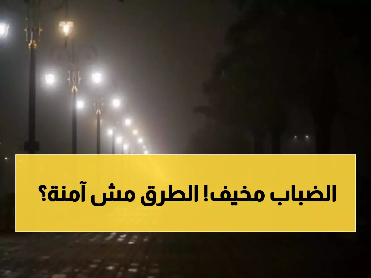 تحذير عاجل: ضباب كثيف يحجب الرؤية تماماً في الشرقية - هل الطرق آمنة صباح الغد؟
