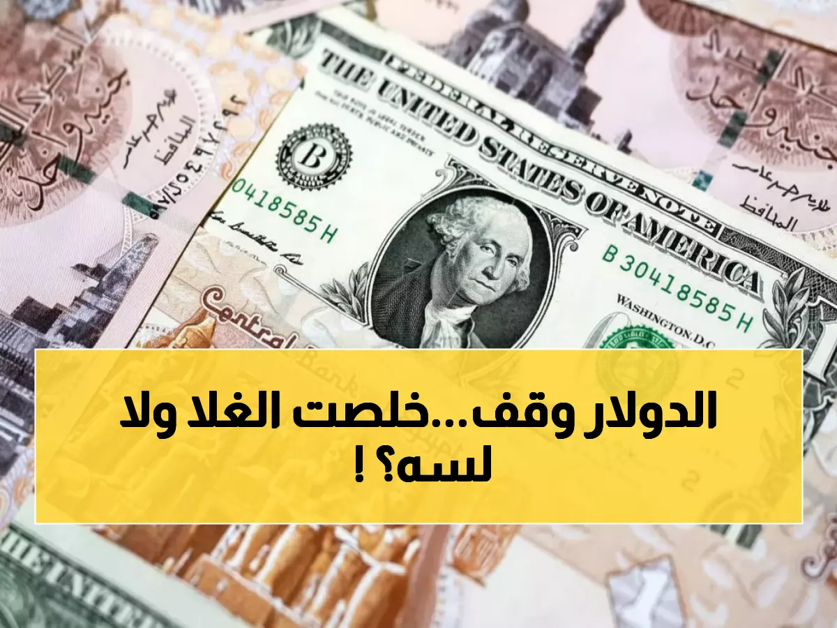 عاجل: الدولار يستقر تحت الـ48 جنيه... هل انتهت معاناة المصريين مع ارتفاع الأسعار؟