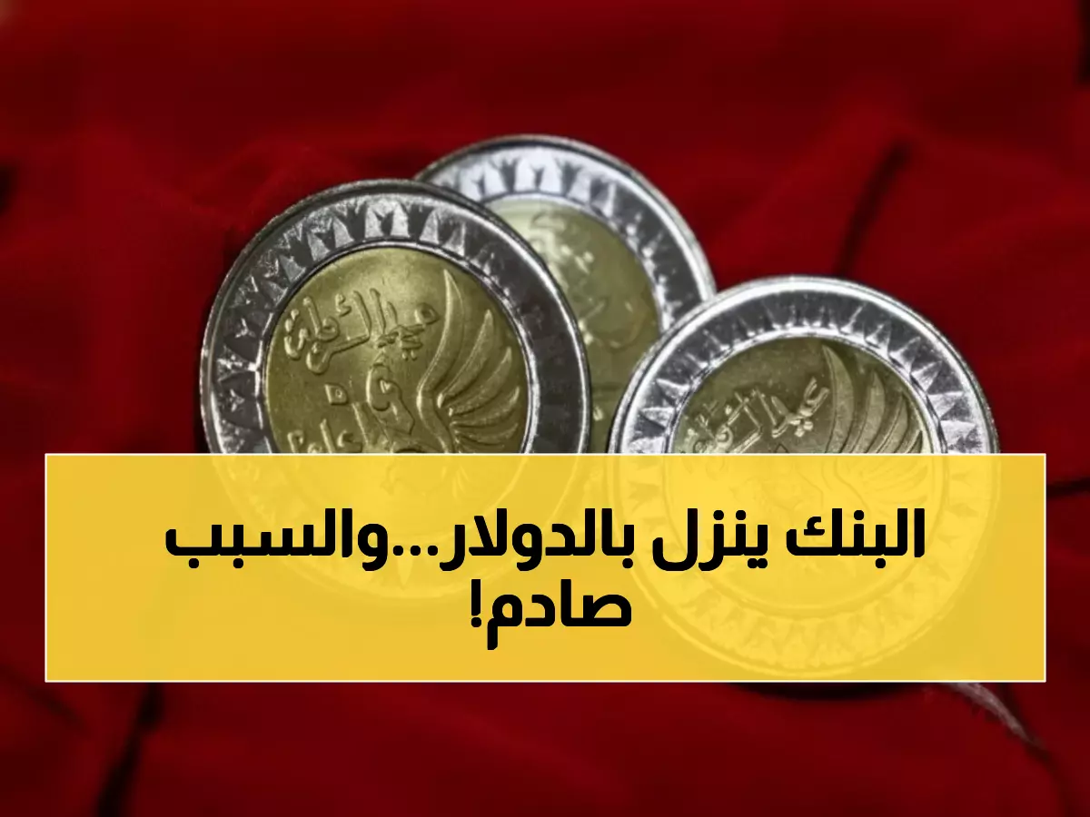 عاجل: الدولار ينهار لـ47.52 جنيه والبنك المركزي يسحب 143 مليار جنيه... قرار حاسم خلال 22 يوماً!