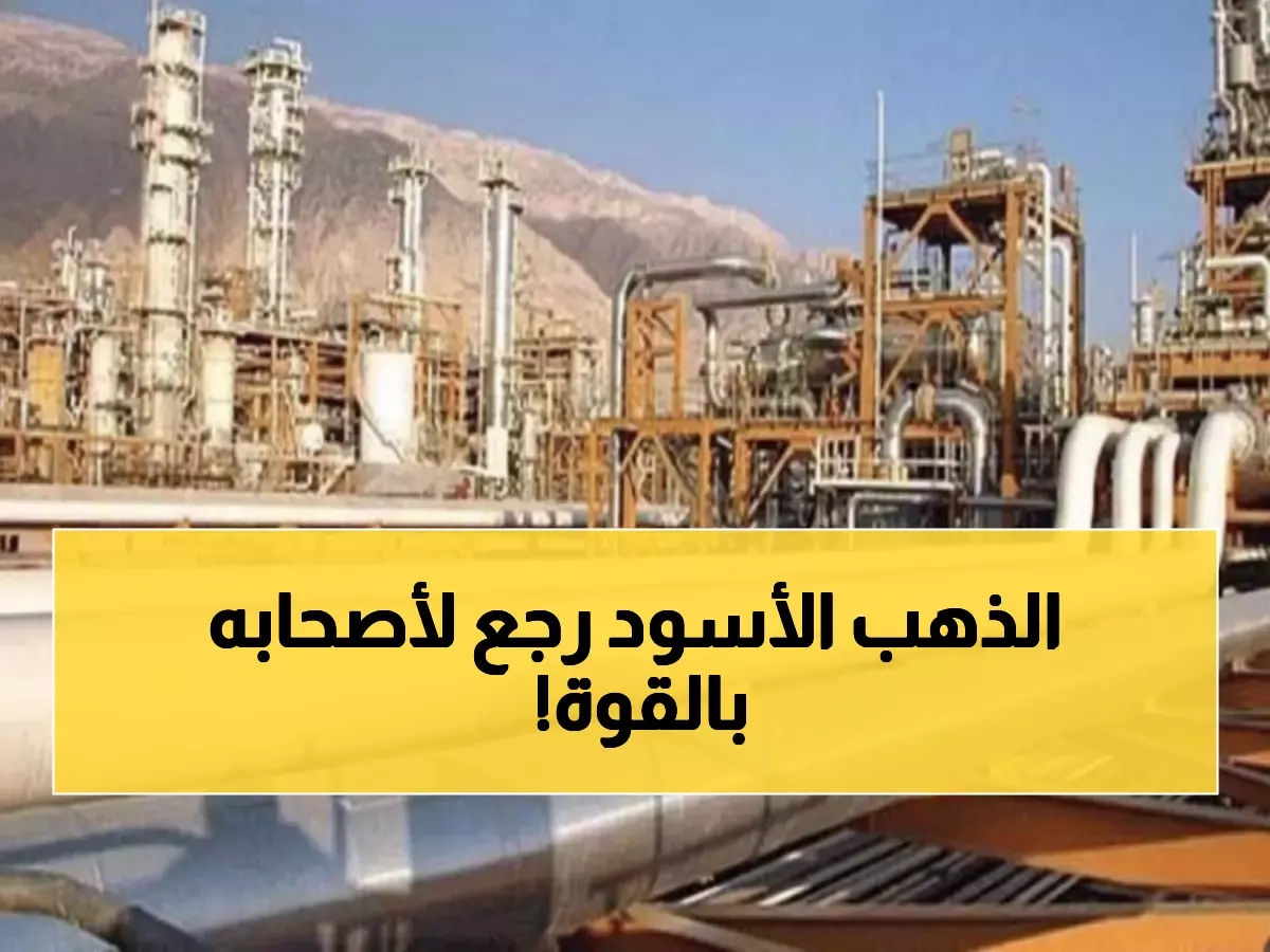 خلف الكواليس: المعركة الخفية لكنوز النفط في حضرموت... النخبة تنتصر والمنشآت تحت السيطرة