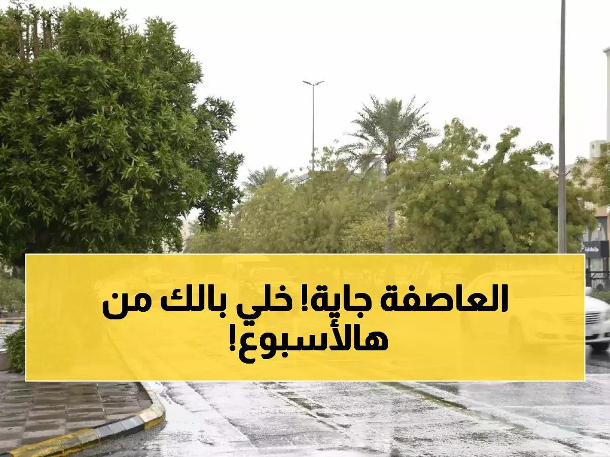 شاهد: خريطة الطقس المرعبة للسعودية - أمطار ورياح وضباب يغطي المملكة 7 أيام!