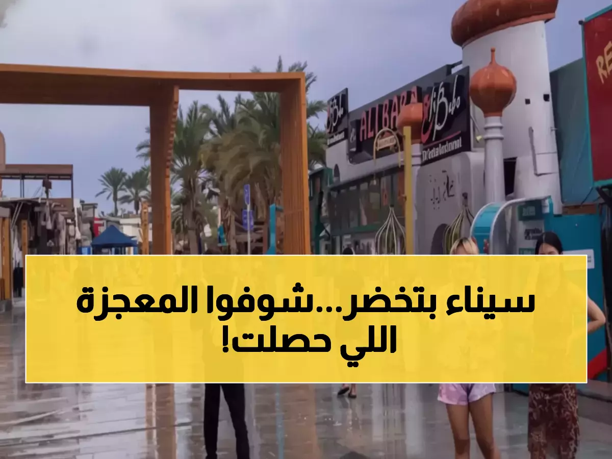 معجزة نادرة: الأمطار تحول صحراء سيناء لجنة خضراء... شلالات 200 متر تظهر لأول مرة منذ 10 سنوات!