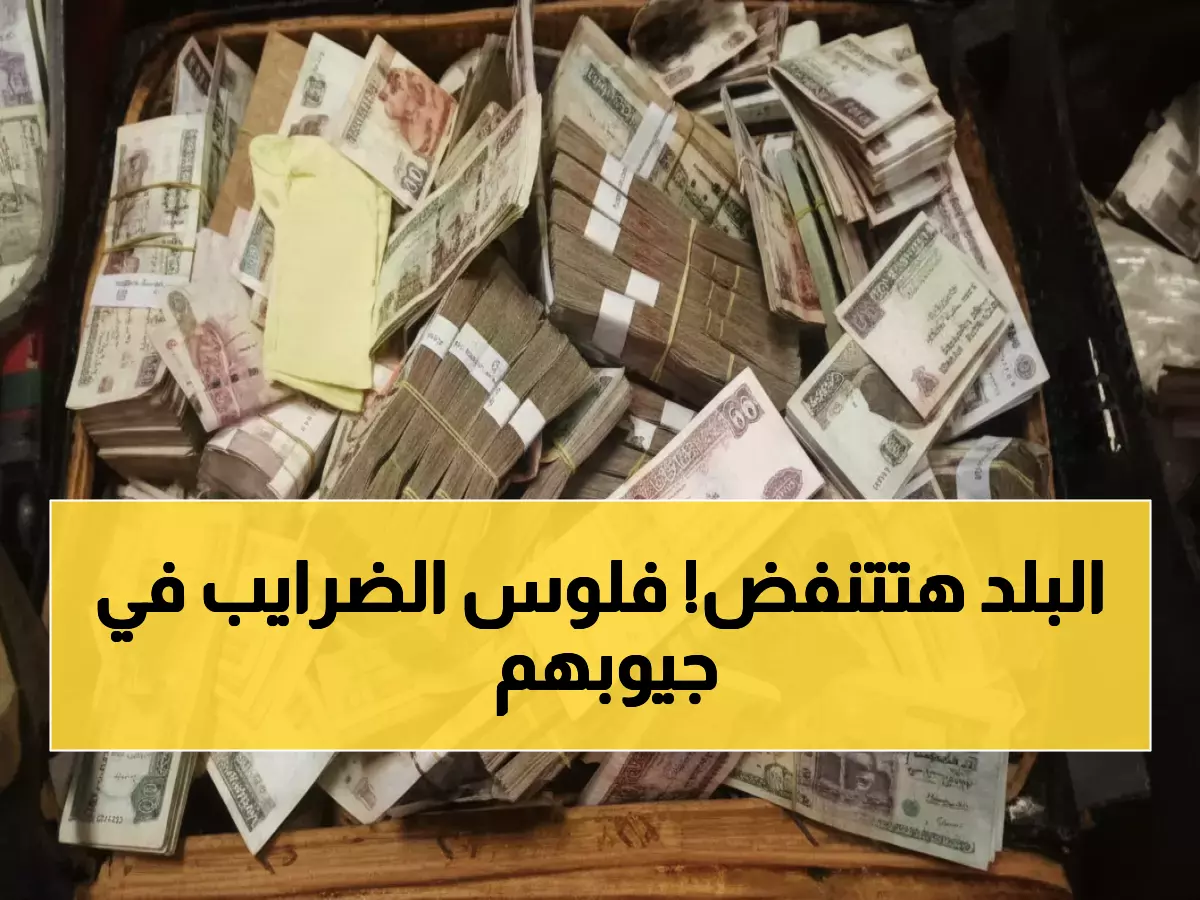 عاجل: فضيحة رشوة الضرائب تنفجر - القبض على 6 متهمين والكشف عن مبالغ صادمة!