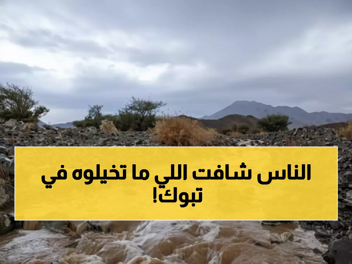 عاجل: تبوك تسجل رقماً قياسياً مذهلاً... 118.5 ملم أمطار في يوم واحد والعواصف الرعدية قادمة!