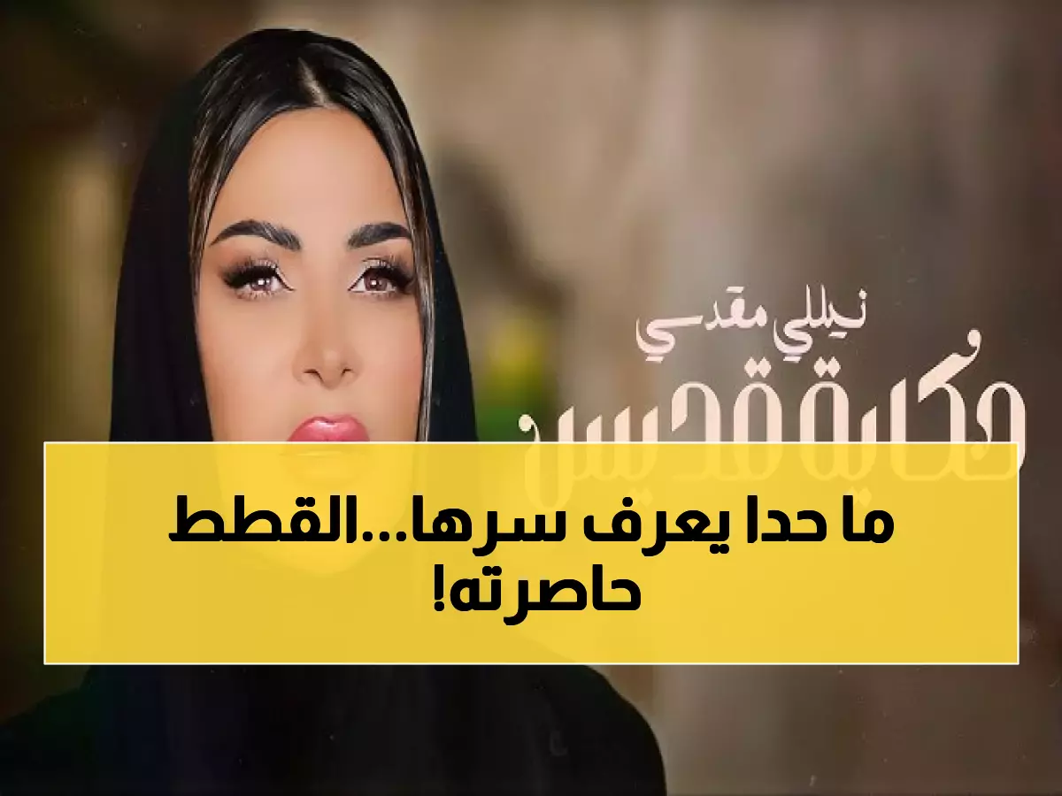 لماذا كانت القطط تتجاهل المئات وتأتي لهذا الرجل فقط في الحرم؟ - حكاية مؤثرة عن الرحمة المفقودة!