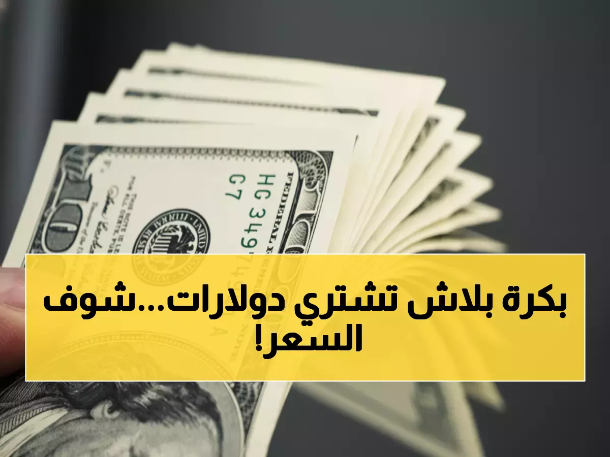 عاجل: الدولار ينهار بـ 9 قروش في مصر اليوم - البنوك تتصارع على أفضل سعر!