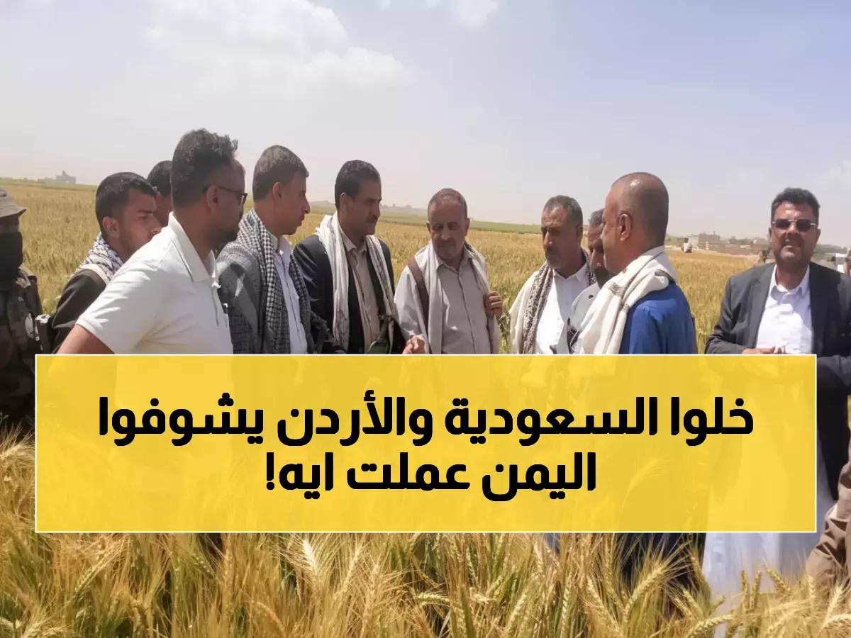 عاجل: أول مرة في التاريخ.. مزارعو ريمة يكتشفون "الذهب الأخضر" - 100% نجاح صادم قد ينهي استيراد الزيتون!