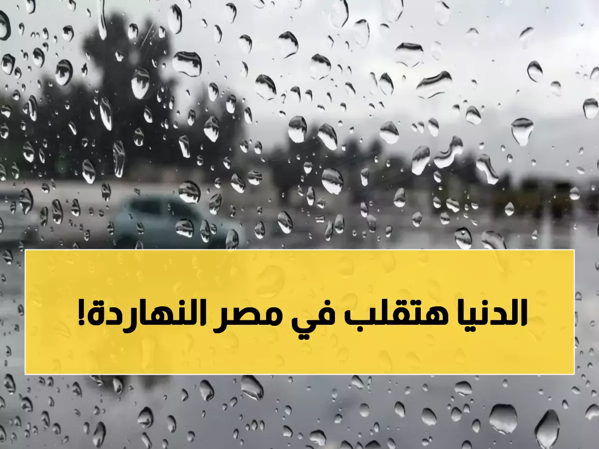 عاجل: موجة برد قطبية تضرب مصر اليوم... أمطار غزيرة ورعد في 6 محافظات والحرارة تنهار لـ7 درجات!