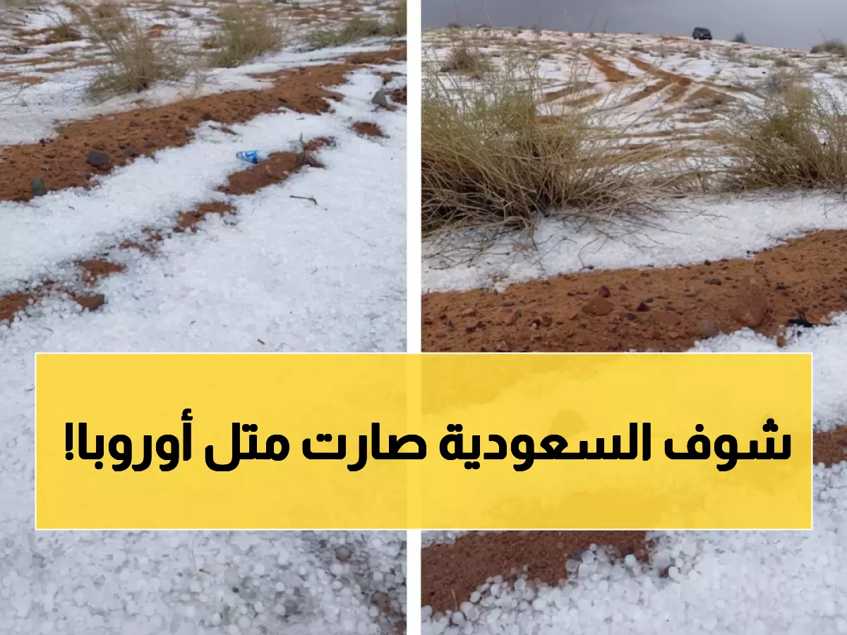 شاهد: النفود تتحول لقطعة من الجنة... البرد يرسم لوحة بيضاء ساحرة شمال حائل!