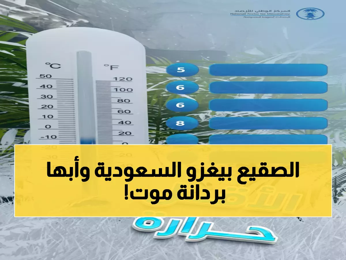 عاجل: أبها تحطم الأرقام القياسية... 5 درجات فقط والمملكة تدخل موجة صقيع تاريخية!