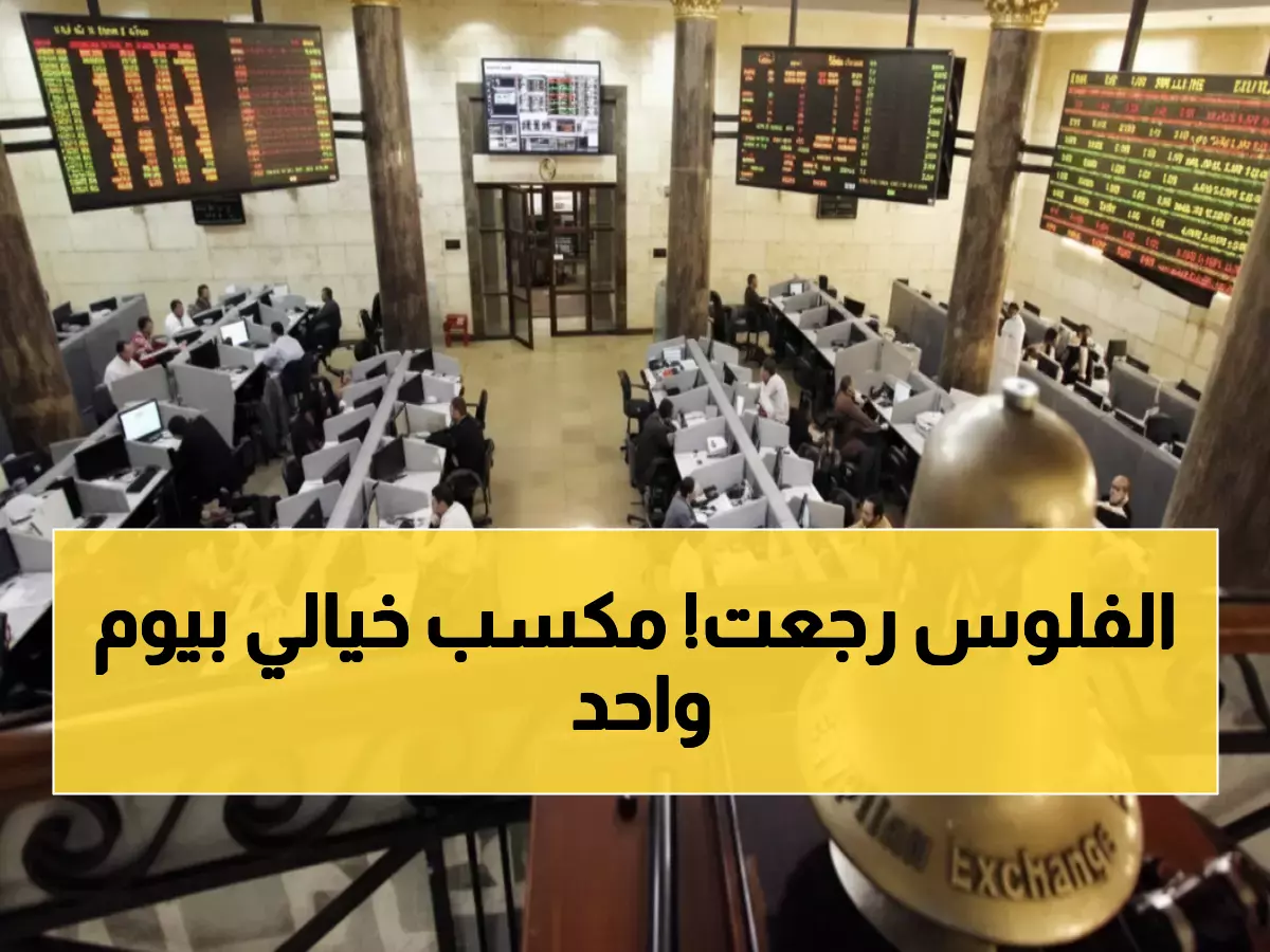 عاجل: البورصة المصرية تحقق مكاسب تاريخية… 10 مليارات جنيه في يوم واحد!