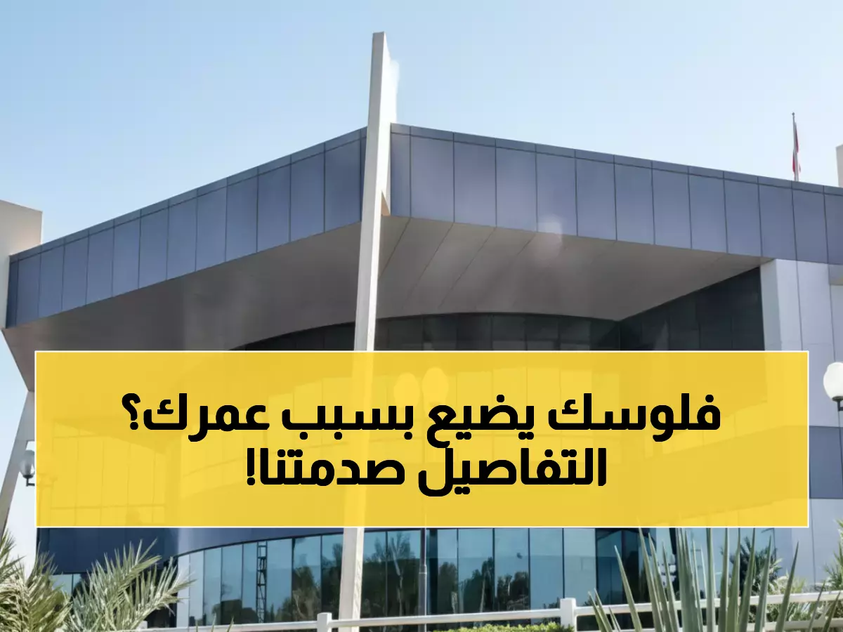 عاجل: التأمينات تفتح باب النخبة للتوظيف... لكن شرط العمر 25 عاماً يصدم الآلاف!