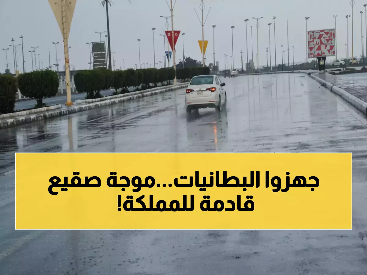 عاجل: الحصيني يحذر... موجة برد قطبية تجمد 11 منطقة والحرارة تحت الصفر خلال 48 ساعة!