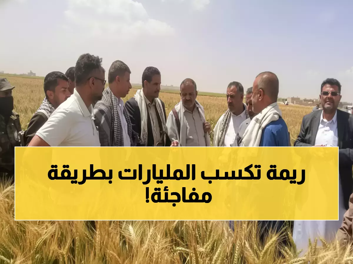 عاجل: ريمة تصنع المعجزة… 100% نجاح في زراعة الزيتون وخبراء: اليمن ستهزم إيطاليا!