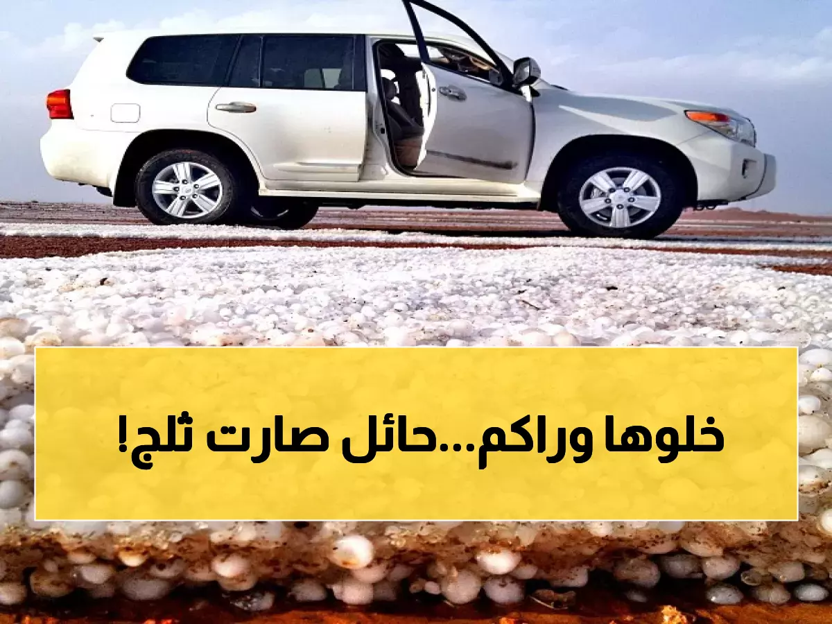 شاهد: حائل تتحول لجنة بيضاء خلال ساعات... البرد الكثيف يخطف أنفاس المتنزهين!