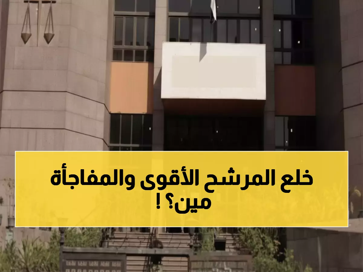 عاجل: قرار قضائي صادم يغير مرشح جولة الإعادة بالدقهلية... وليد شاكر يطيح بالفضالي!