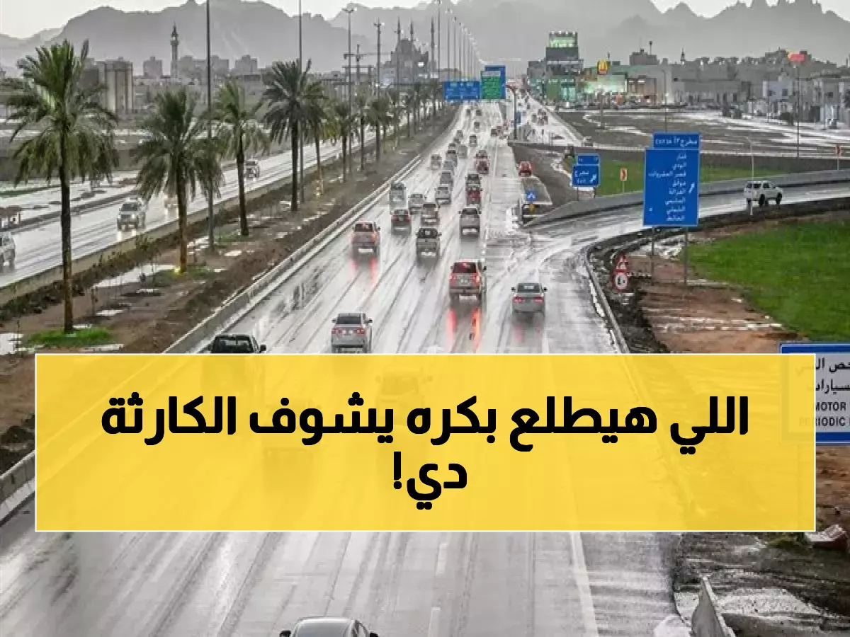 عاجل: عواصف رعدية تضرب الرياض والشرقية مع تحذير من ضباب كثيف... الأرصاد تكشف خريطة المناطق المتأثرة!