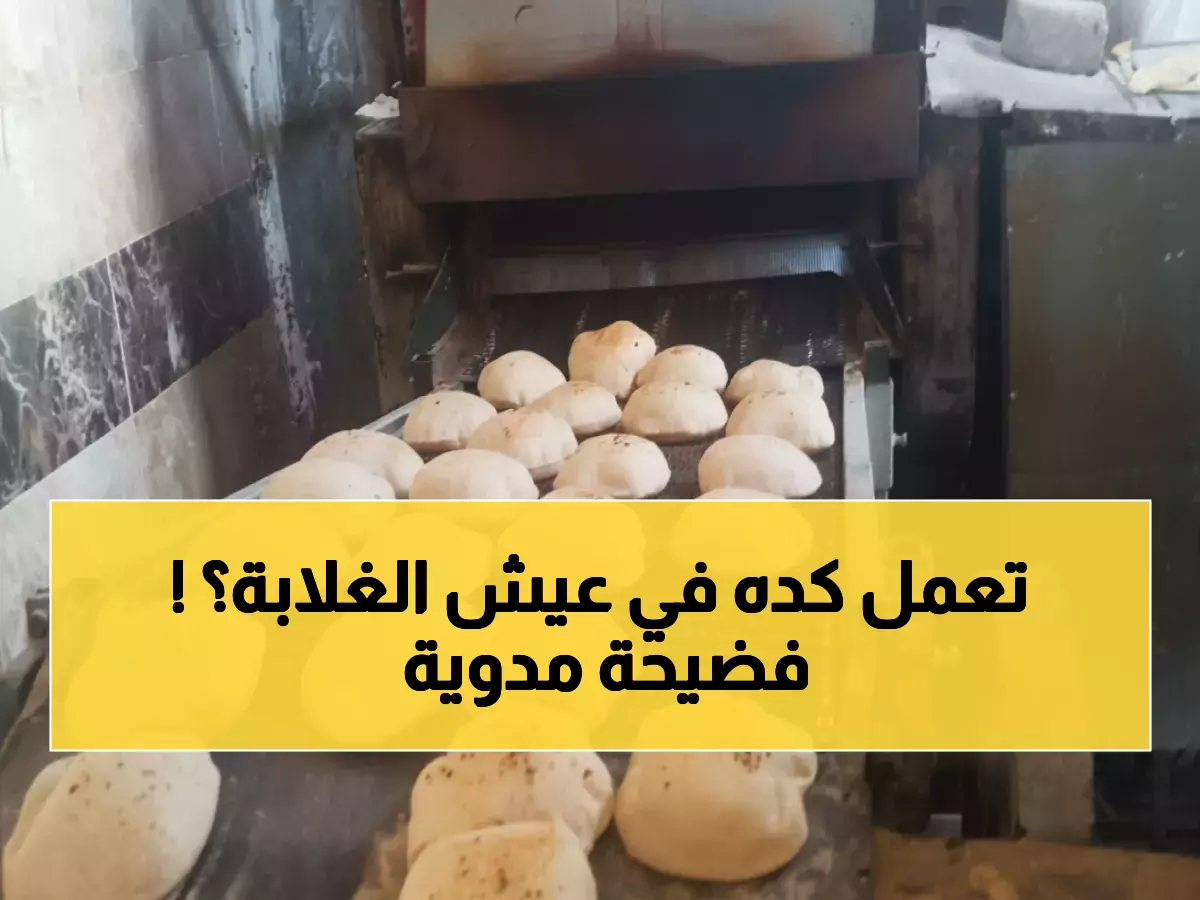 عاجل: ضبط 26 مخالفة صادمة في القليوبية... مخابز تخدع المواطنين ومطاعم بلا أسعار!