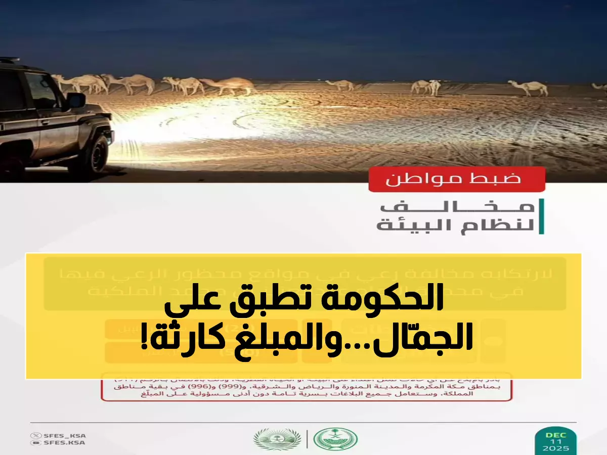 صادم: ضبط مواطن يرعى 25 جملاً في محمية ملكية... والغرامة تصل لـ12,500 ريال!