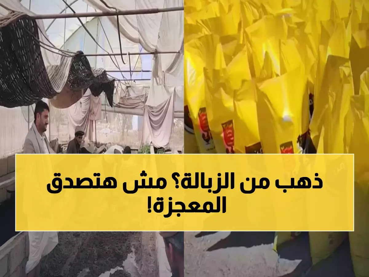 عاجل: اليمن تحقق معجزة اقتصادية.. تحويل القمامة لذهب أخضر بنصف التكلفة!