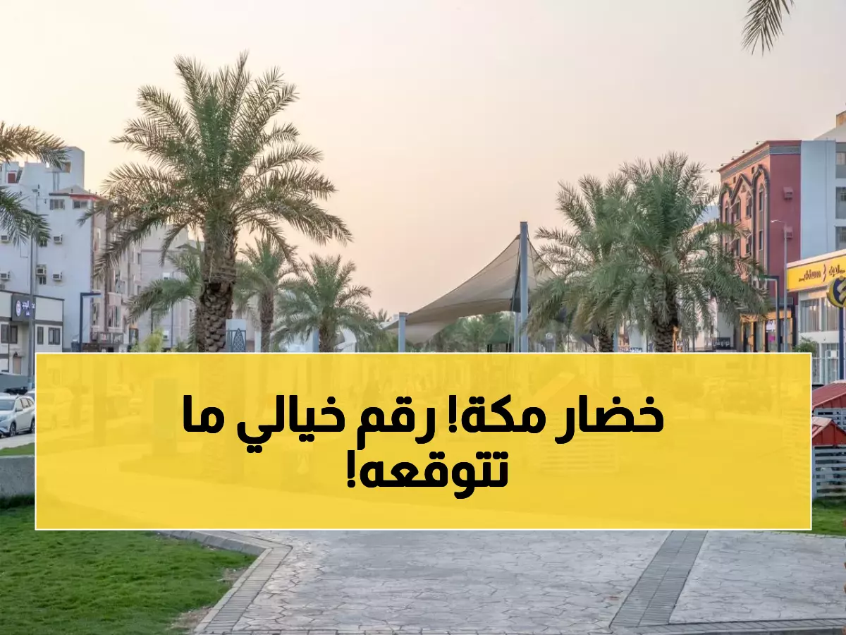 عاجل: 294 حديقة بمكة تستقبل الشتاء بمليوني متر مربع من المساحات الخضراء!