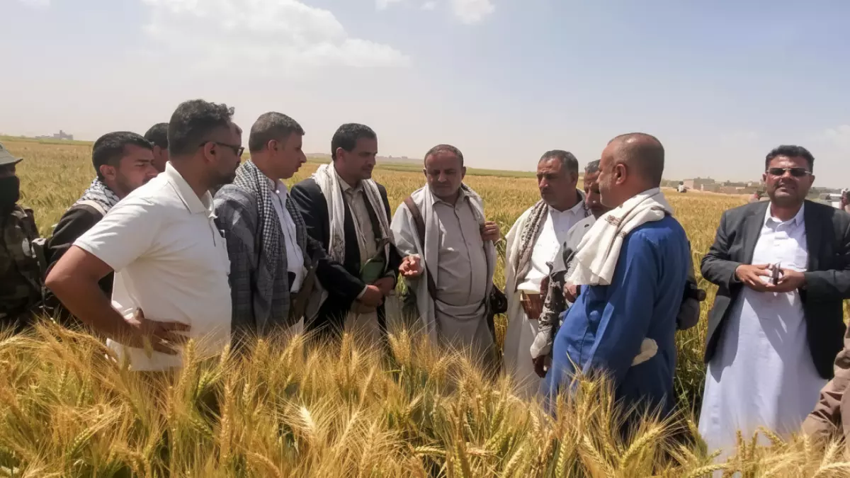 عاجل: اكتشاف صادم في ريمة… 100% نجاح في موسم واحد يقلب موازين الاقتصاد اليمني!