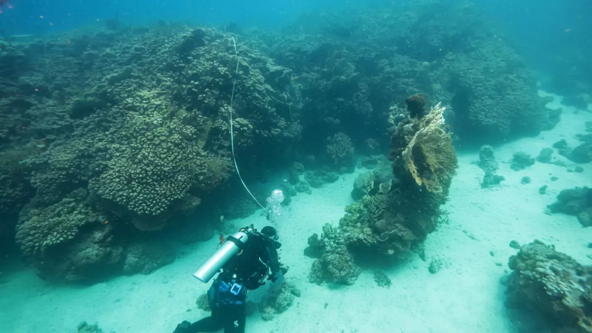 عاجل: كنز عمره 800 عام يُكتشف لأول مرة في أعماق البحر الأحمر… علماء العالم في صدمة!