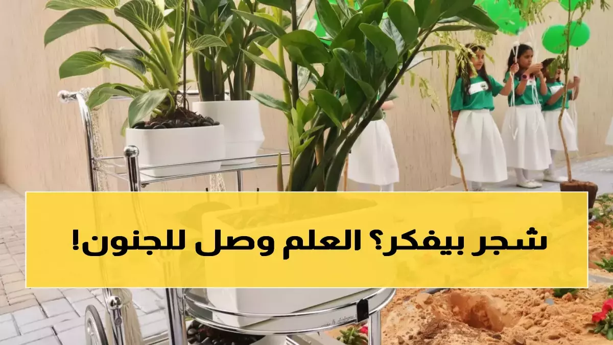 Choquant : l’Arabie Saoudite invente des arbres qui envoient des messages WhatsApp sur leur santé… 25 000 écoles se transforment en forêts parlantes !