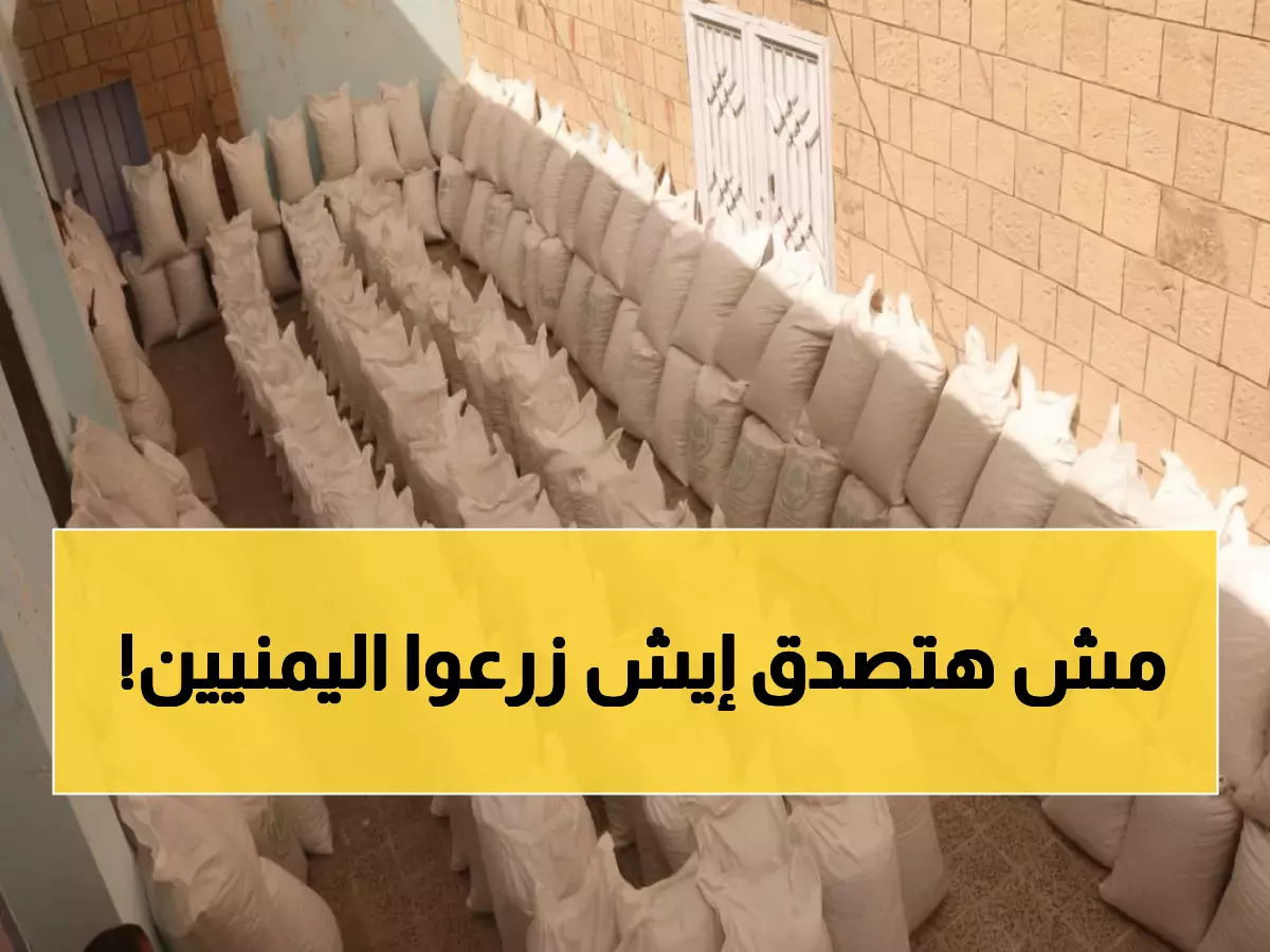 عاجل: اليمن يحقق معجزة زراعية… الفول السوداني ينقذ الأمن الغذائي ويكسر فاتورة الاستيراد!