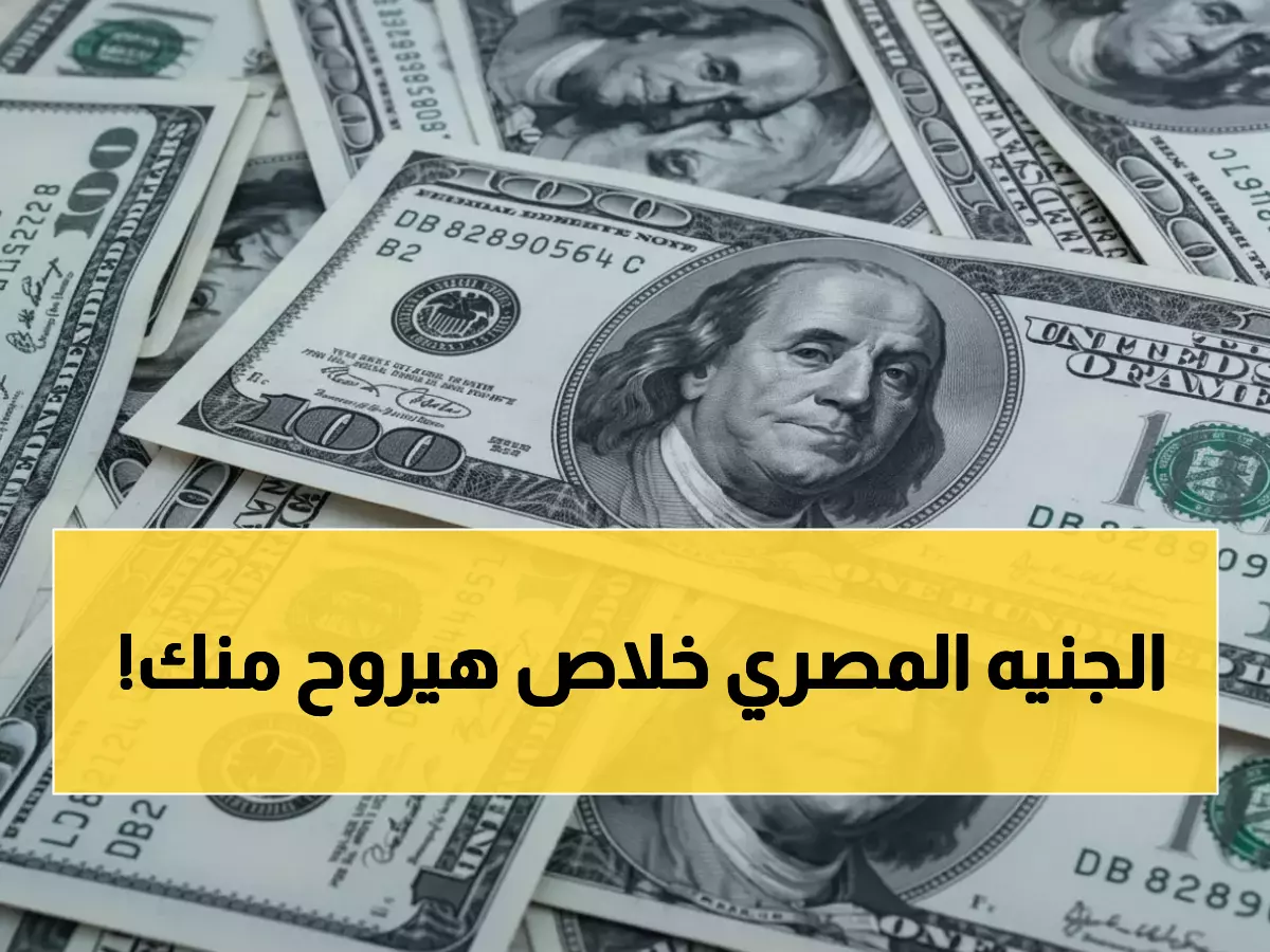 البنك المركزي يدشن عصر الـ47 جنيه للدولار.. وهذا ما يعنيه للمصريين