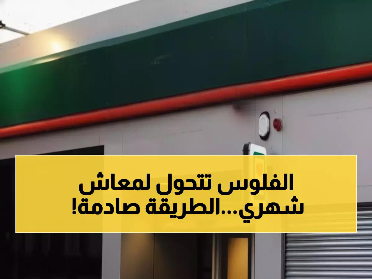 كيف يحول البنك الأهلي 430 ألف جنيه إلى راتب شهري 5000 جنيه بضمان حكومي؟