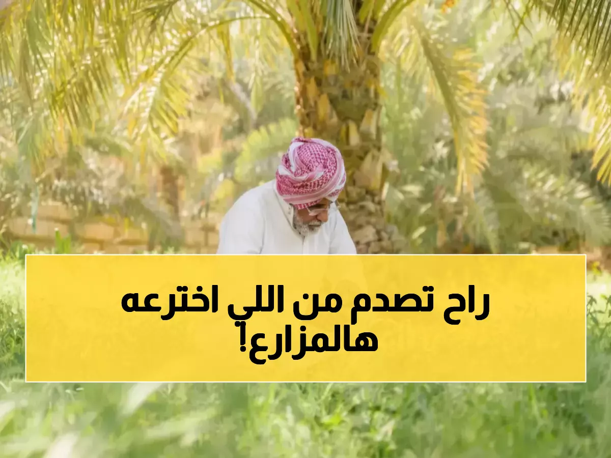 يعلنها مزارع سعودي بسيط: 'ستظنني مجنوناً'.. ثم يفاجئك بكشف مذهل عن 23 مليون شجرة تحول ثروة وطنية إلى اختراع عالمي.