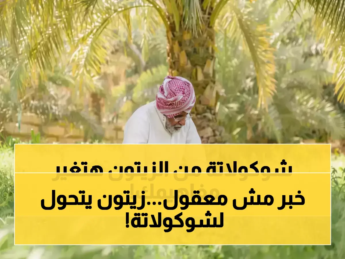 ماذا يفعل مزارع سعودي بـ 23 مليون شجرة زيتون؟.. 'فراس الجابر' حوّلها إلى شوكولاتة أبهرت 7 دول.