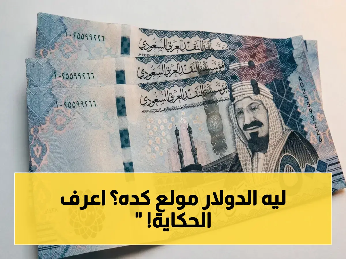 عاجل: ارتفع سعر الدولار أمام الريال السعودي.. إليكم أسعار العملات اليوم الأربعاء 13-5-2026