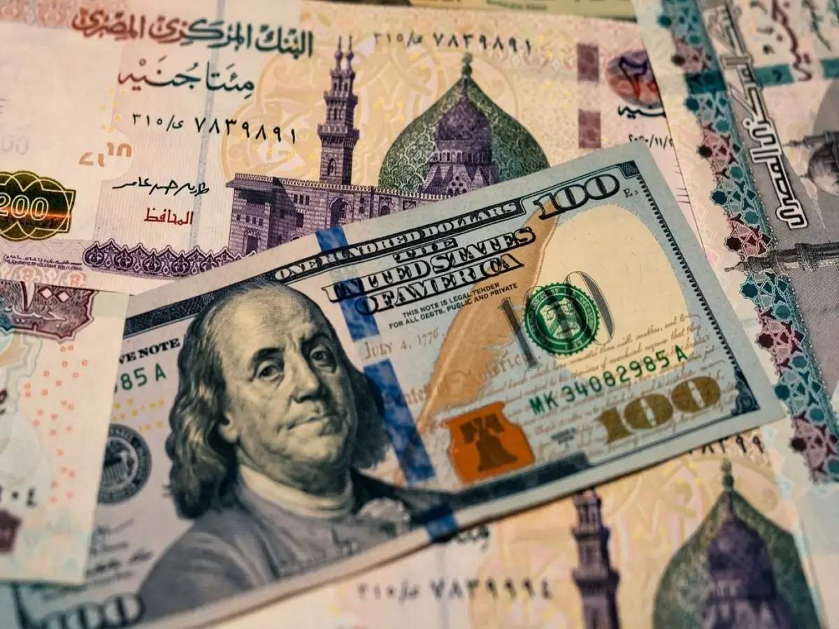 عاجل: البنك المركزي يعلن سعر الدولار الحقيقي… رقم مذهل يفوق 52 جنيه يحير الملايين!