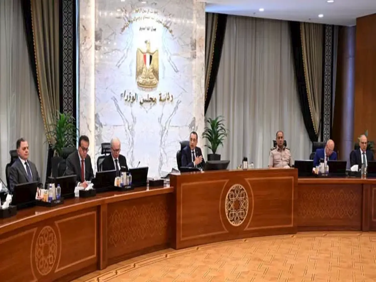 عاجل: العفو عن محكومين بقرار تاريخي اليوم.. وقرارات مفاجئة بتريليونات الاستثمارات وأكثر من 330 ألف فدان تقلب الموازين!